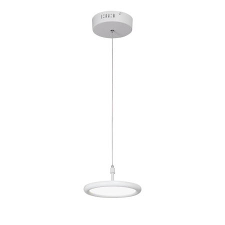 V4604-0/1S Светодиодный светильник V4604-0/1S, LED 10Вт, 3800K