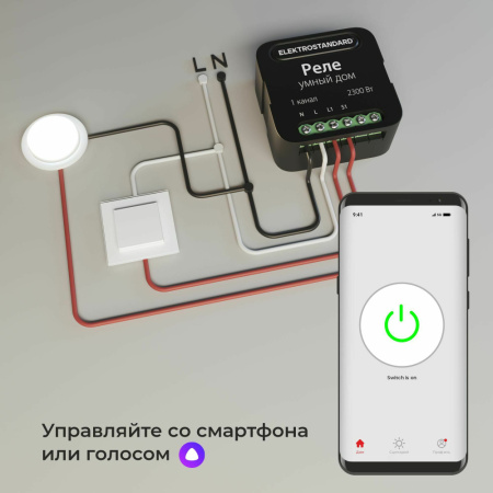 76006/00 Умное одноканальное реле