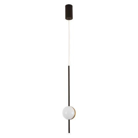 A2124SP-1BK Подвесной светильник Arte Lamp FURUD A2124SP-1BK