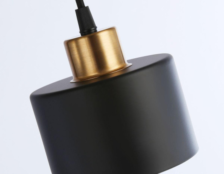 TR8113 Подвесной светильник в стиле лофт TR8113 BK/BS черный/латунь