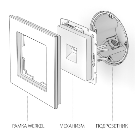 W1181004/ Розетка Ethernet RJ-45 (графит рифленый)
