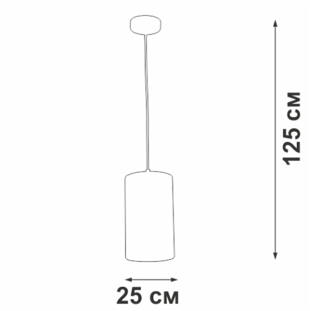 V2895-0/1S Подвес