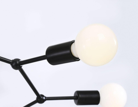 TR8036 Потолочный светильник в стиле лофт TR8036/6 BK черный