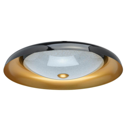 674016501 Ривз 30W LED 220 V люстра