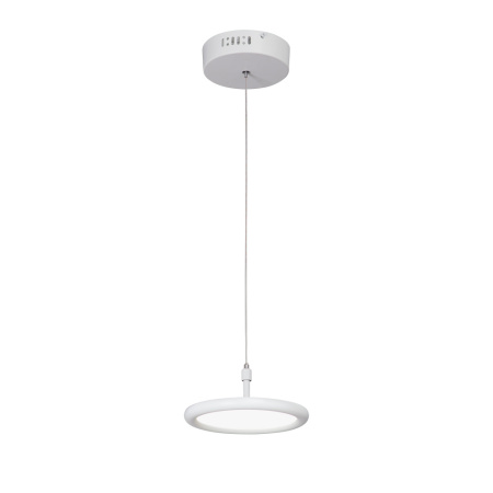 V4604-0/1S Светодиодный светильник V4604-0/1S, LED 10Вт, 3800K