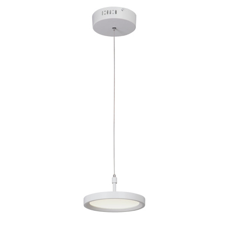 V4603-0/1S Светодиодный светильник V4603-0/1S, LED 10Вт, 3800K