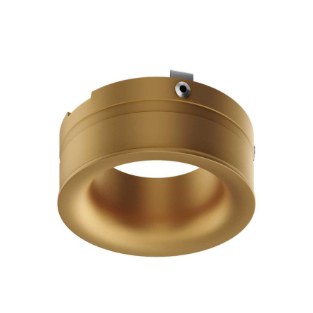 ST218.209.00 Кольцо декоративное ST-Luce Золотистый